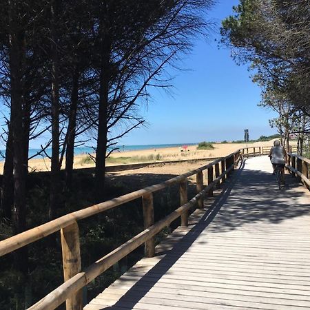 Appartamenti Livenza Bibione Esterno foto